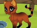 Игра Мой котёнок онлайн