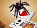 Игра Подскакивающий паук онлайн
