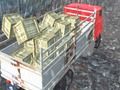 Игра Водитель грузовика  онлайн