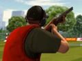Игра Мишень: Сигнал и выстрел онлайн