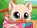 Игра Домашнее животное: любимая кошка онлайн