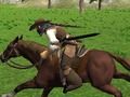 Игра Симулятор верховой езды онлайн Игра Симулятор верховой езды онлайн