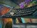 Игра Холодное золото онлайн