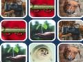 Игра Проблема памяти онлайн