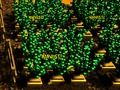 Игра Пиксельная ферма онлайн Игра Пиксельная ферма онлайн