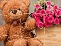 Игра Загадка плюшевого мишки онлайн