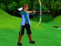 Игра Элитная стрельба из лука онлайн