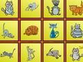 Игра Коты: найди разницу онлайн