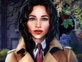 Игра Необычные преступники онлайн