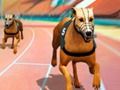 Игра Сумасшедшие собачьи бега онлайн