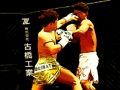 Игра Абсолютный бойцовский чемпионат Пазл онлайн