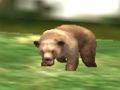 Игра Охотник на животных сафари онлайн