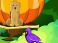 Игра Побег из цветущего сада онлайн