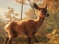Игра Симулятор парковки джипа сафари: приключения в джунглях онлайн Игра Симулятор парковки джипа сафари: приключения в джунглях онлайн