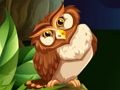 Игра Совиный шутер онлайн