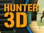 Игра Охотник 3D онлайн