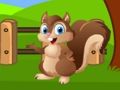 Игра Побег с фермы белки онлайн