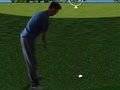 Игра Флеш Гольф 3D онлайн