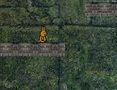 Игра Приключения кролика онлайн Игра Приключения кролика онлайн