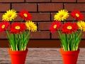 Игра Побег из цветочного дома онлайн