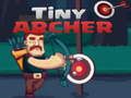 Игра Крошечный лучник онлайн