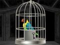 Игра Побег попугая онлайн