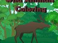 Игра Дикие животные: Раскраска онлайн