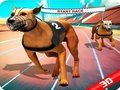 Игра Сумасшедшая собачья гонка онлайн