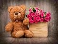 Игра Милые плюшевые медведи: Пазл онлайн