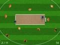 Игра Кикет онлайн