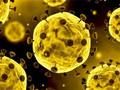 Игра Коронавирус: Пятнашки онлайн Игра Коронавирус: Пятнашки онлайн