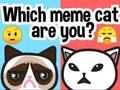 Игра Какой ты мем-кот? онлайн Игра Какой ты мем-кот? онлайн