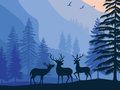 Игра Пейзажный рай: Скрытые обьекты онлайн
