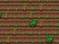 Игра Чайник онлайн