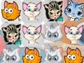 Игра Котята Матч 3 онлайн