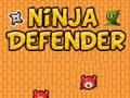 Игра Защитник ниндзя онлайн