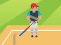 Игра Крикет 2D онлайн