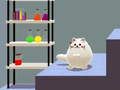 Игра Двойственность кота Шредингера онлайн