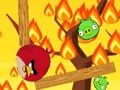 Игра Злые птицы онлайн онлайн