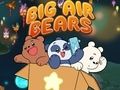 Игра Вся правда о медведях: Большие воздушные медведи онлайн