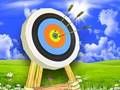 Игра Мастер лучник онлайн