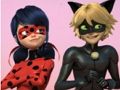 Игра Леди Баг и кот Нуар Пазл онлайн