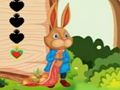 Игра Побег белки онлайн