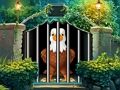 Игра Побег бесстрашного орла онлайн