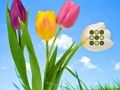 Игра Побег с цветочной лужайки онлайн