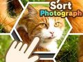 Игра Сортировать фотографии онлайн