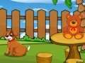 Игра Забавный побег игуаны онлайн