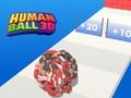 Игра Человеческий шар 3d онлайн