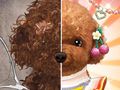 Игра Мастер макияжа для домашних животных онлайн