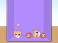 Игра Эволюция кошачьих мемов онлайн